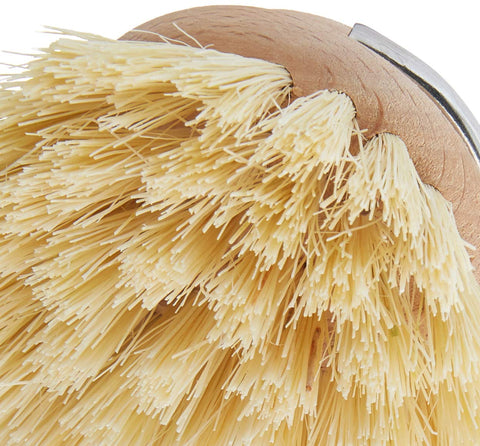 New!! Beardy Dish Brush by OTOTO - Kitchen Scrubbers for Dishes, Kitch —  Grill Parts America